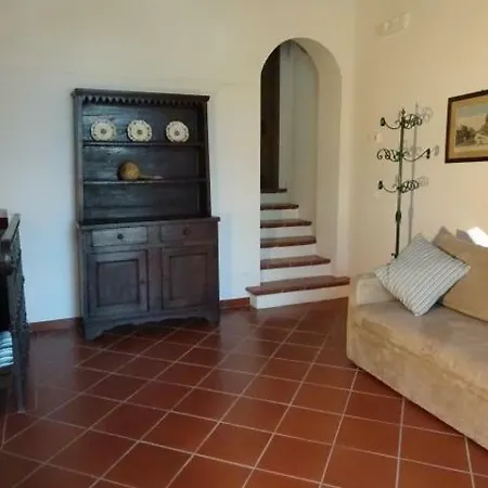 I Cipressi Di Riseccioni Vaglia (Tuscany)